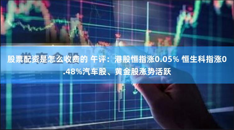 股票配资是怎么收费的 午评：港股恒指涨0.05% 恒生科指涨0.48%汽车股、黄金股涨势活跃